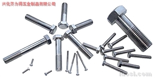 供應:316L 外六角螺栓,華人螺絲網(wǎng)提供各種供應:316L 外六角螺栓報價、價格、生產(chǎn)廠家、供應商-興化齊力得五金制品